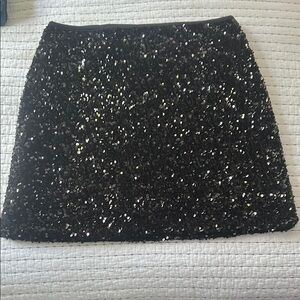 Sequin Black Skirt